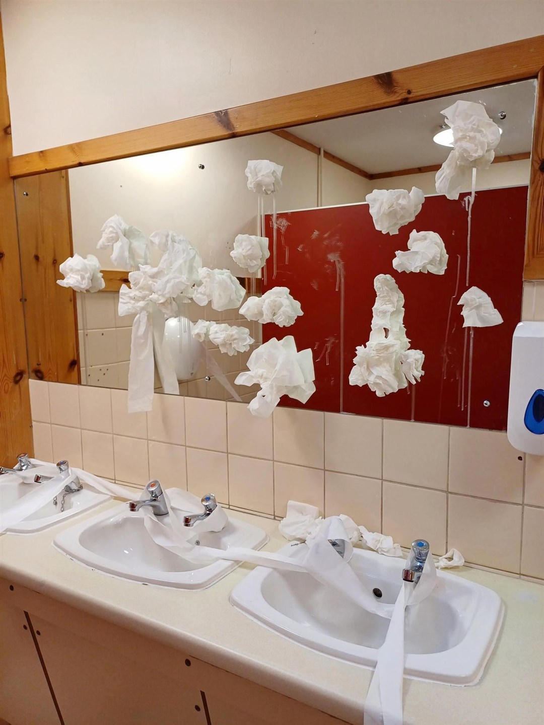 This latest vandalism trashed the ladies room.