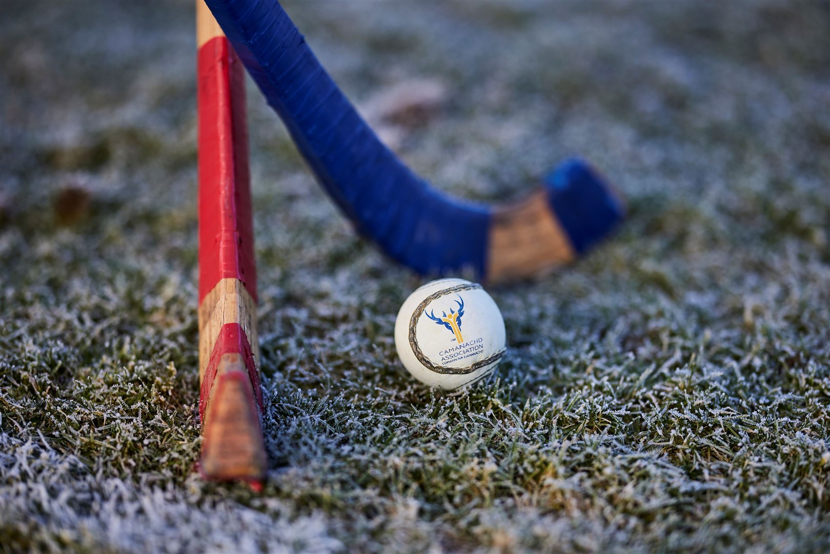 Twin probes launched into alleged attack on shinty player (17) by spectator during match.