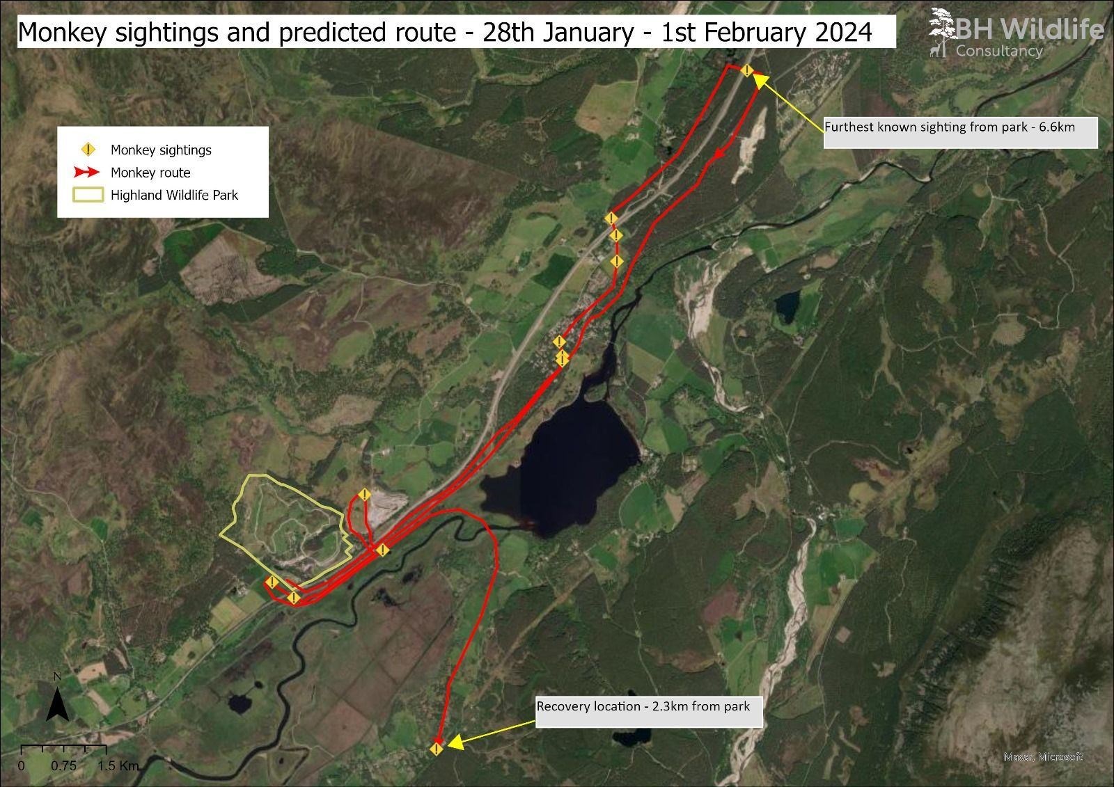 A map of Honshu - not the Japanese island, the Japanese macaque. How he was spotted over the week. (RZSS)