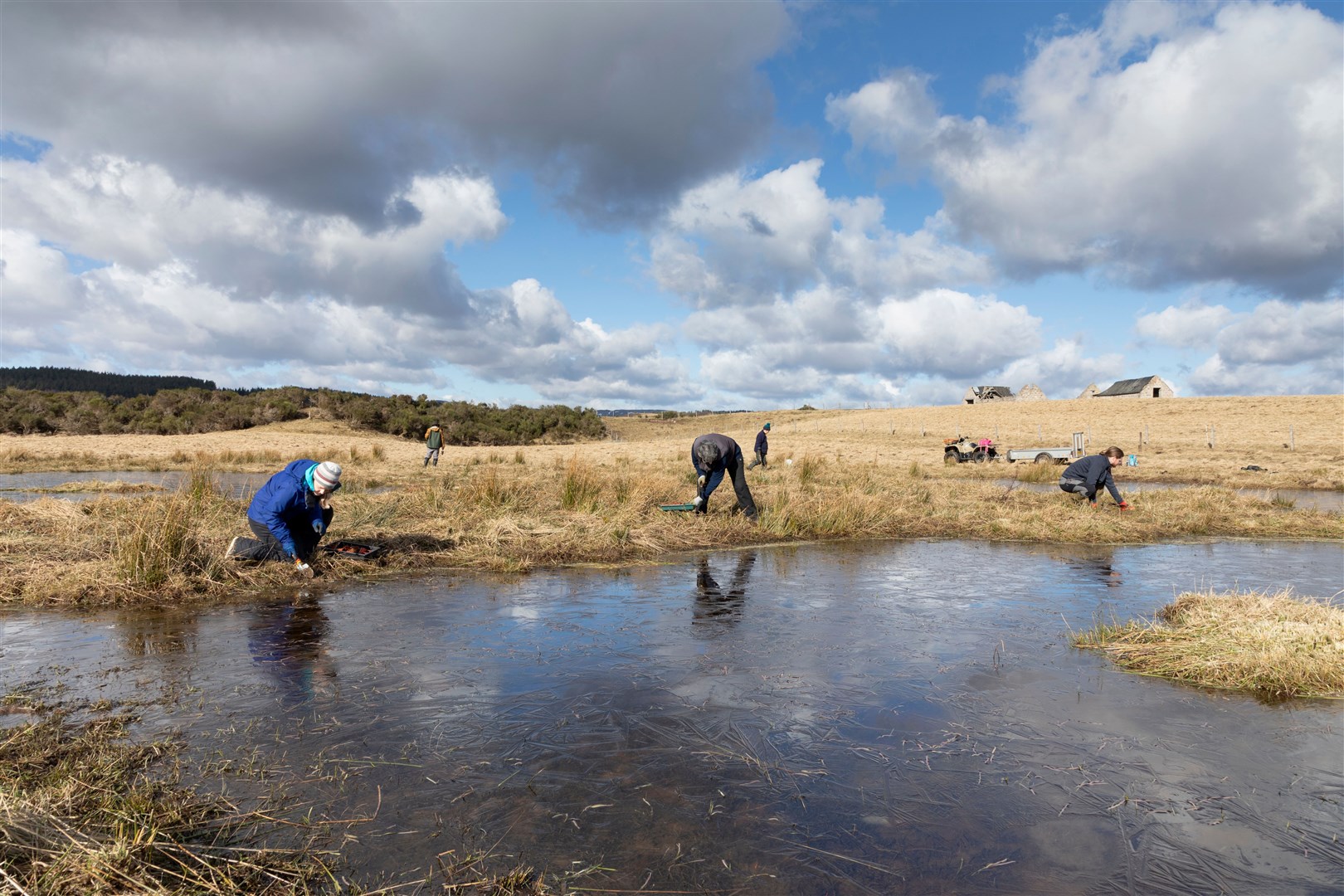 Volunteers planting wildflower plugs in wetland area, Ballinlaggan, Cairngorms National Park
