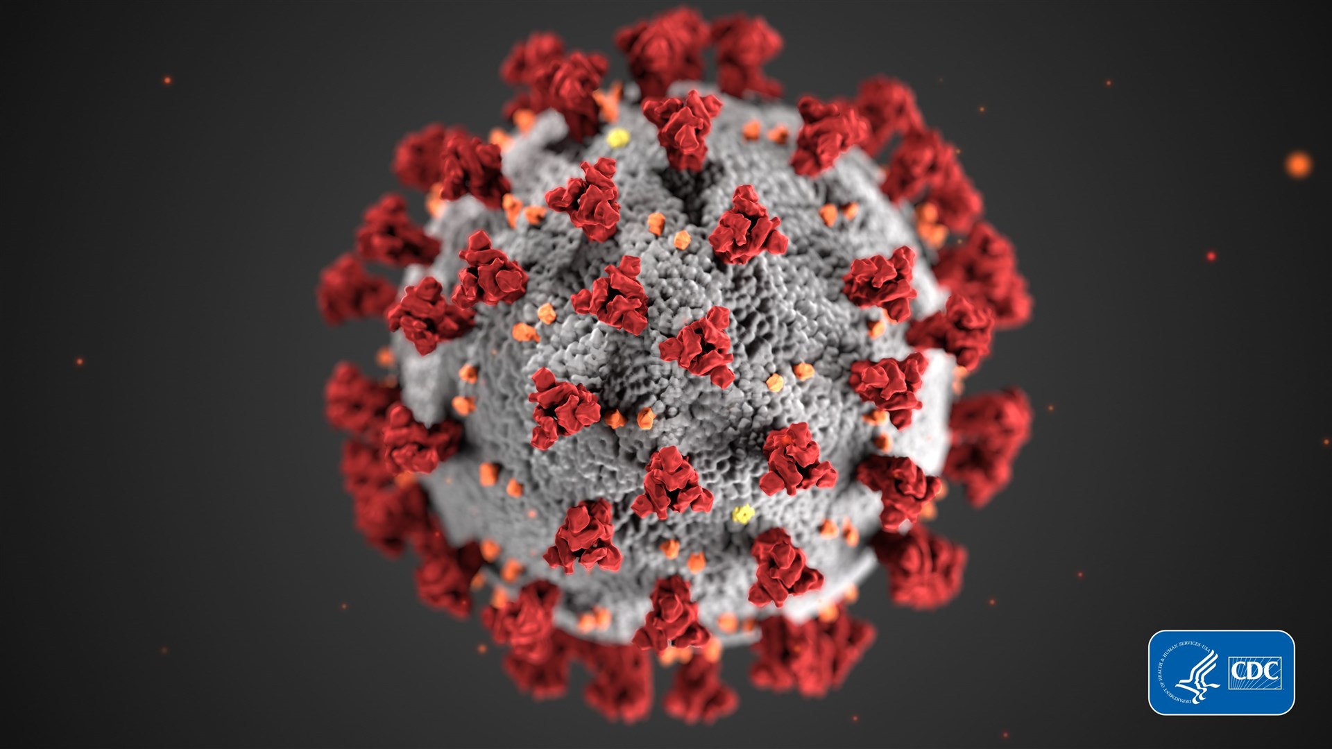 The coronavirus, Covid-19.