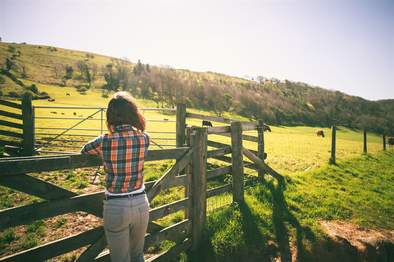 Farming and food and drink industries straddle the farm gate.