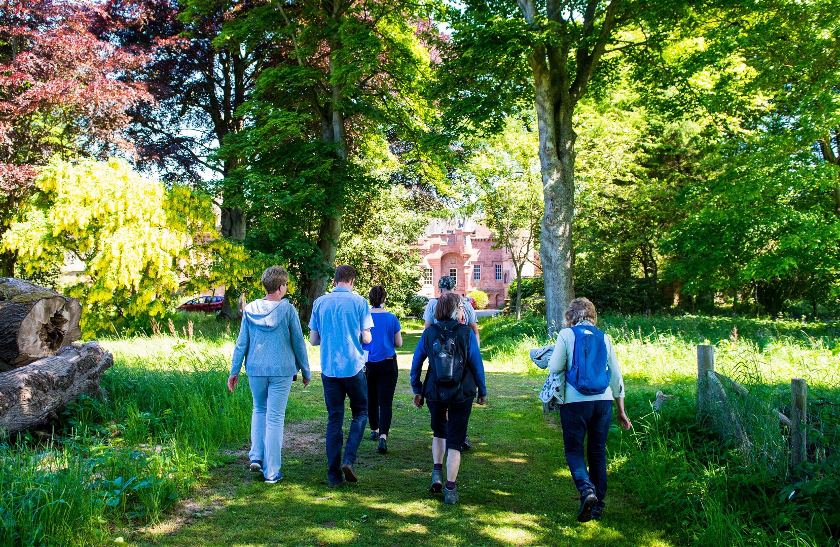 Competition is on for the best photographs of walking
