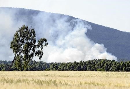 A wild fire takes hold in the Cairngorms