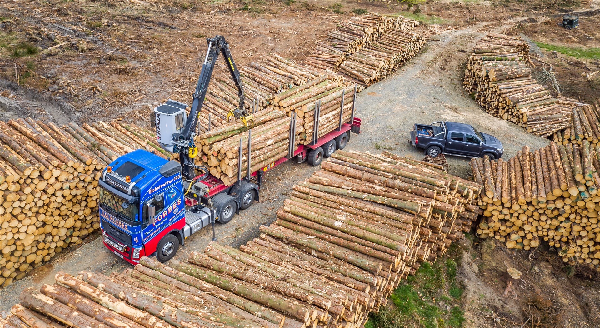 Timber being loaded to get to market at Blairadam Forest. Photo: Liam Anderstrem