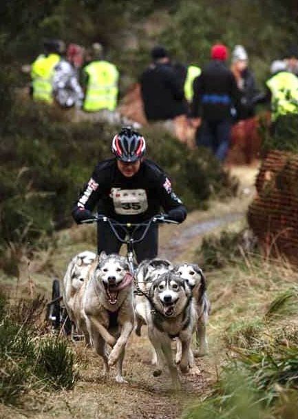 Race organiser Pete Jones leaving the start with his six dog team.