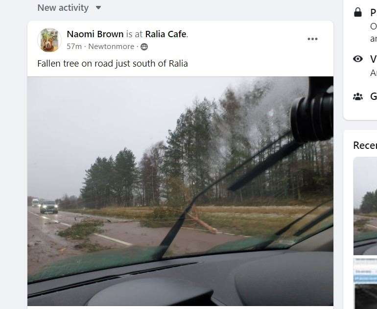 Social media reports of a tree on the road on the A9 by Ralia at the southern end of Badenoch.