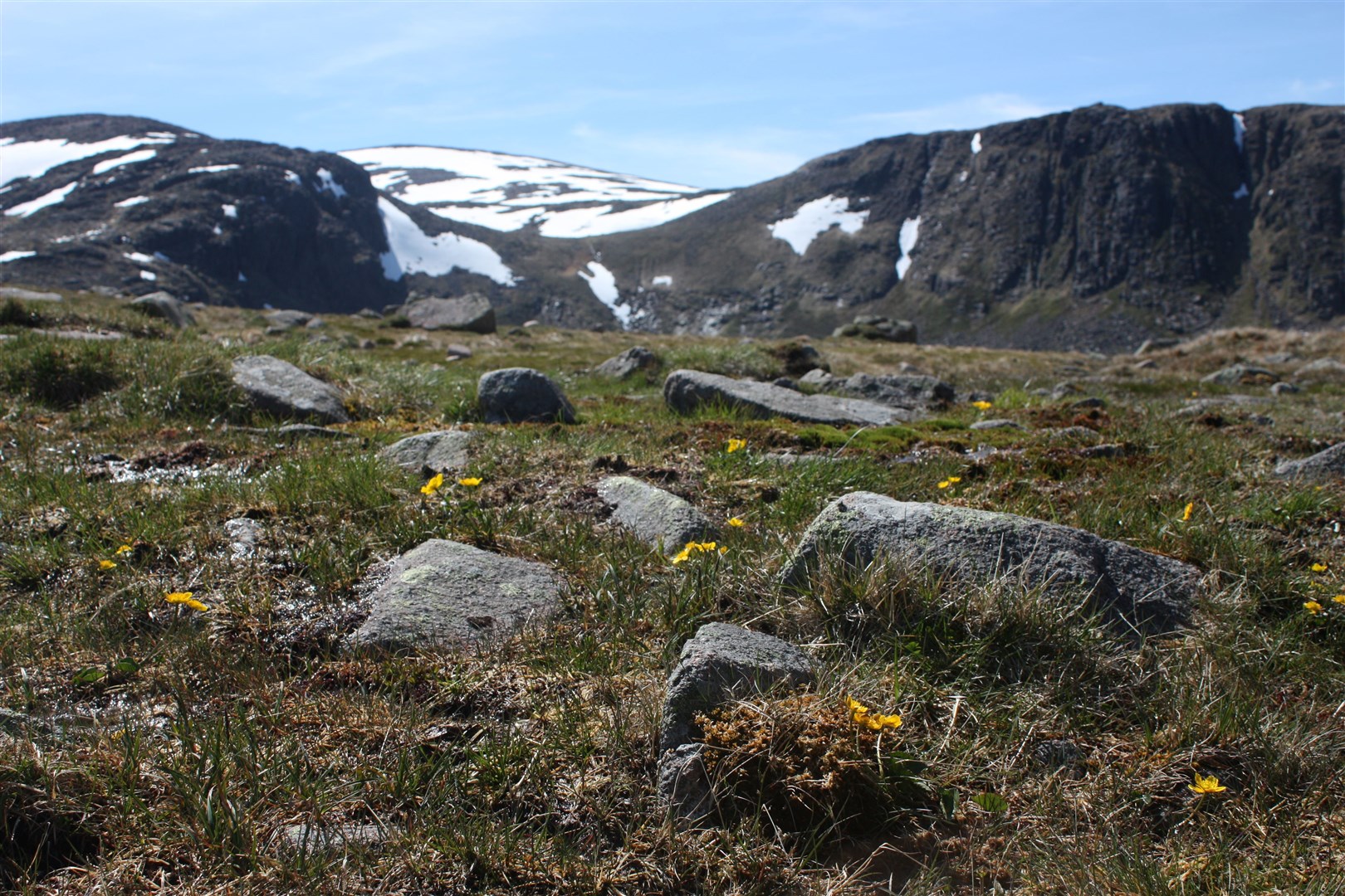 The study will look at fungi in the soil on the Cairngorms plateau. Picture: Alistair Whyte
