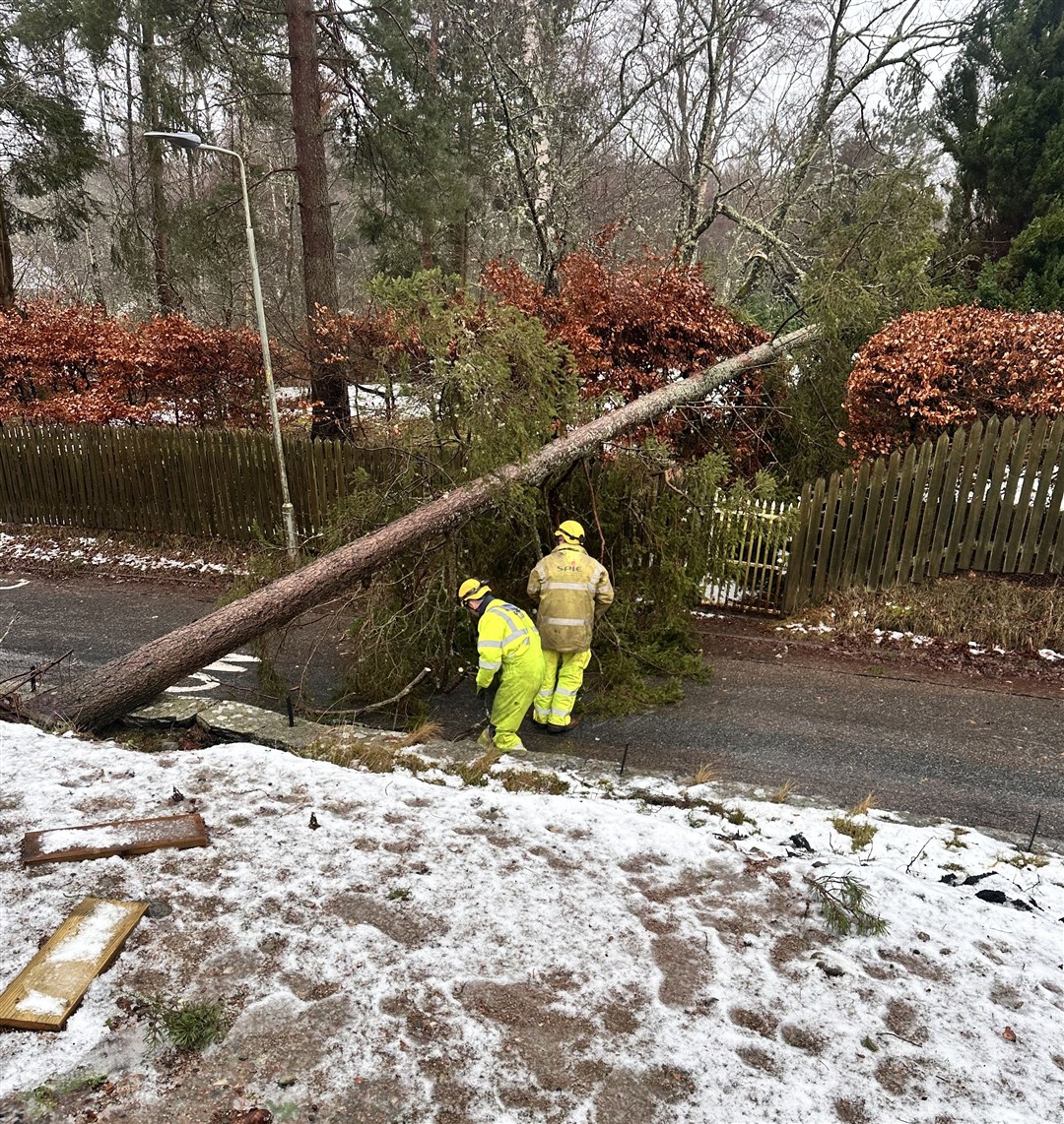 Workmen happened to be making their way to Ard Geal to work on a power failure caused by another fallen tree