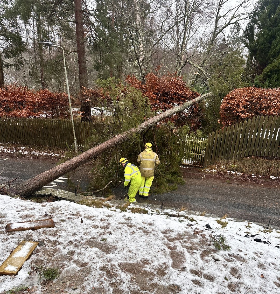 Kincraig: a passing connectivity team got straight to work to clear their own way on The Brae en route to helping those whose power had been cut off in the remoter districts