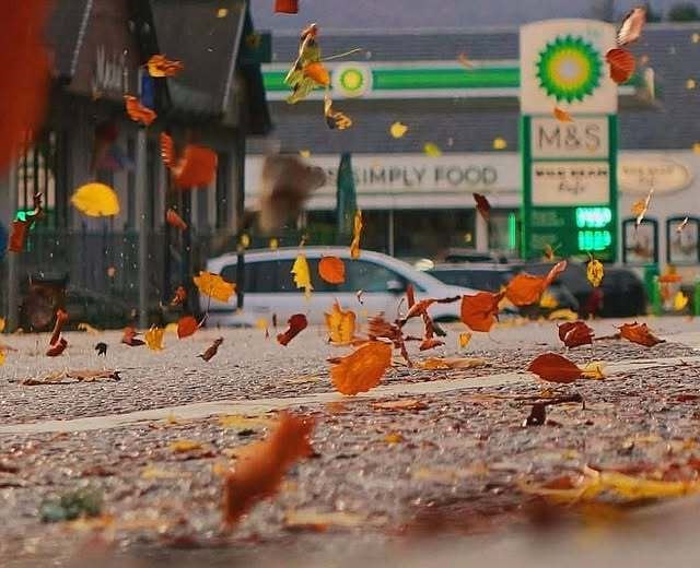 The wind of change: Aviemore this morning after Storm Bert and the thaw (David MacLeod)