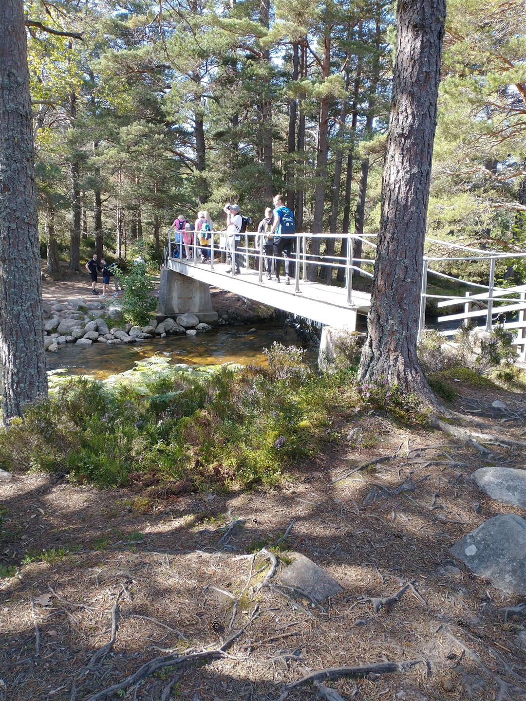 One of the bridges on the route.