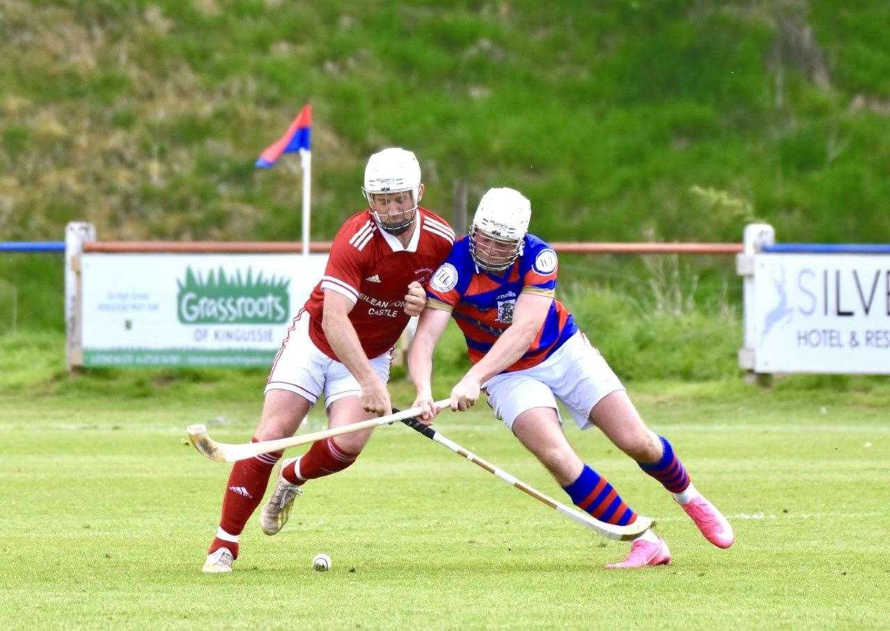 Camans are very much at the heart of the sport but they can be tough to get hold of especially for those taking up shinty wanting their own stick.