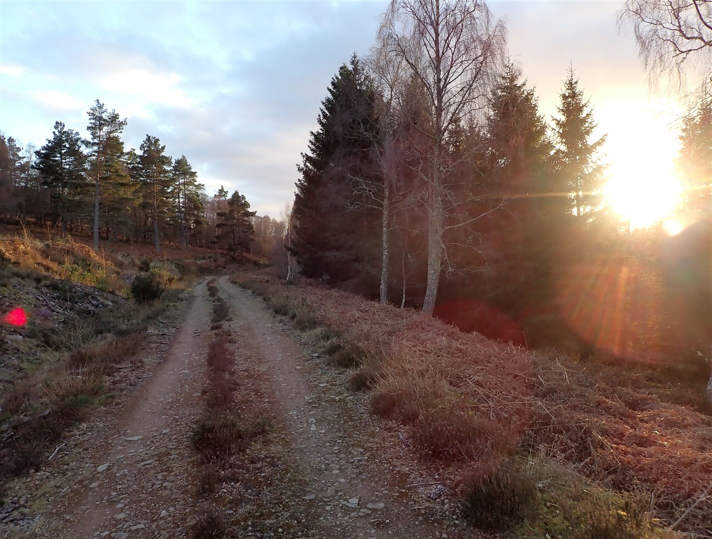 The sun going down along the track at Drumashie.