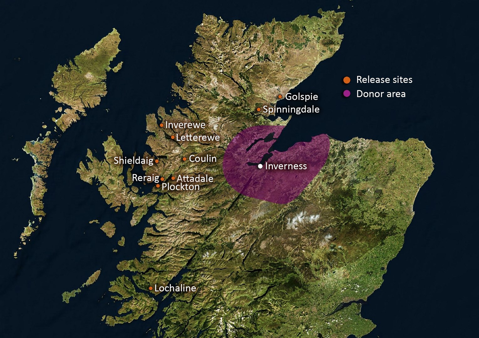 High resolution Satellite image of UK & Ireland (Isolated imagery of North Europe. Elements of this image furnished by NASA)