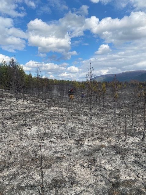 Devastation on the plantation, but it could have been much worse