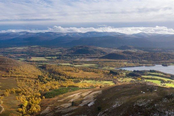 Kinrara Estate and the surrounding land will become home to BrewDog's Lost Forest.