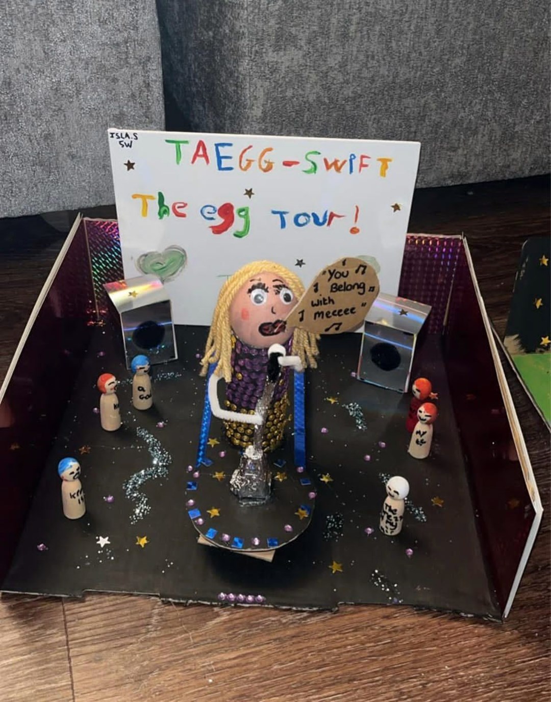 The ‘Taegg Swift’ egg competition entry (Janeane Kearney/PA)