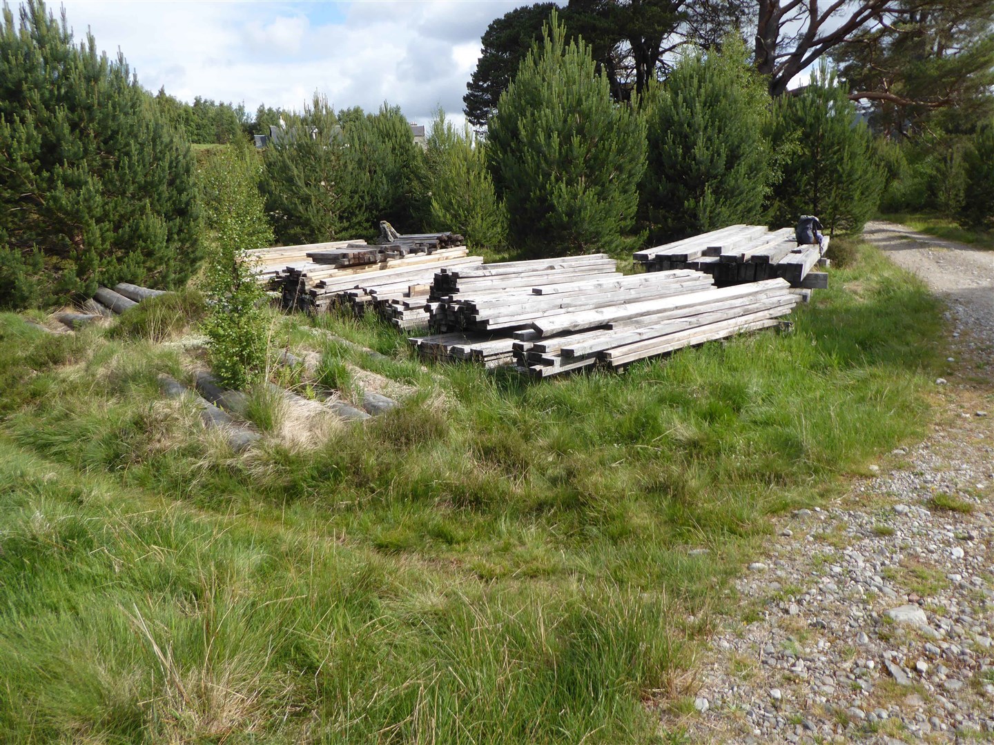 Timber allocated for the crossing at Glenfeshie which has never been used.