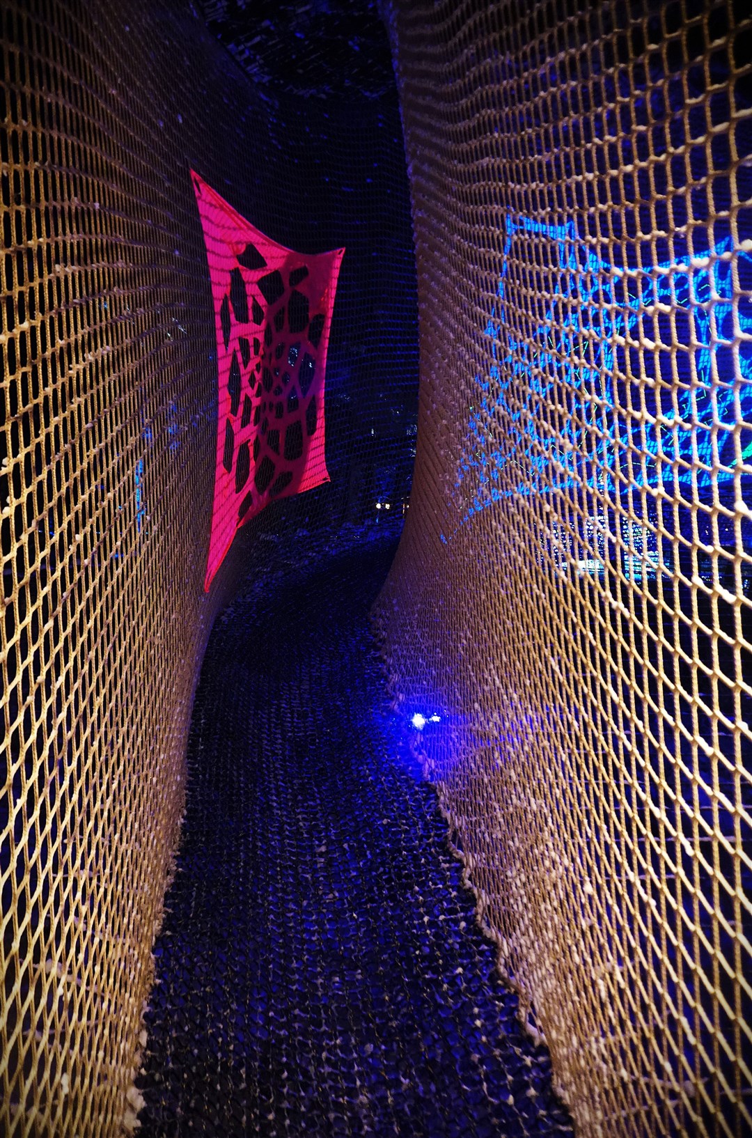 The red squirrel trail takes visitors up in the trees, walking above the light show. Picture: Federica Stefani.
