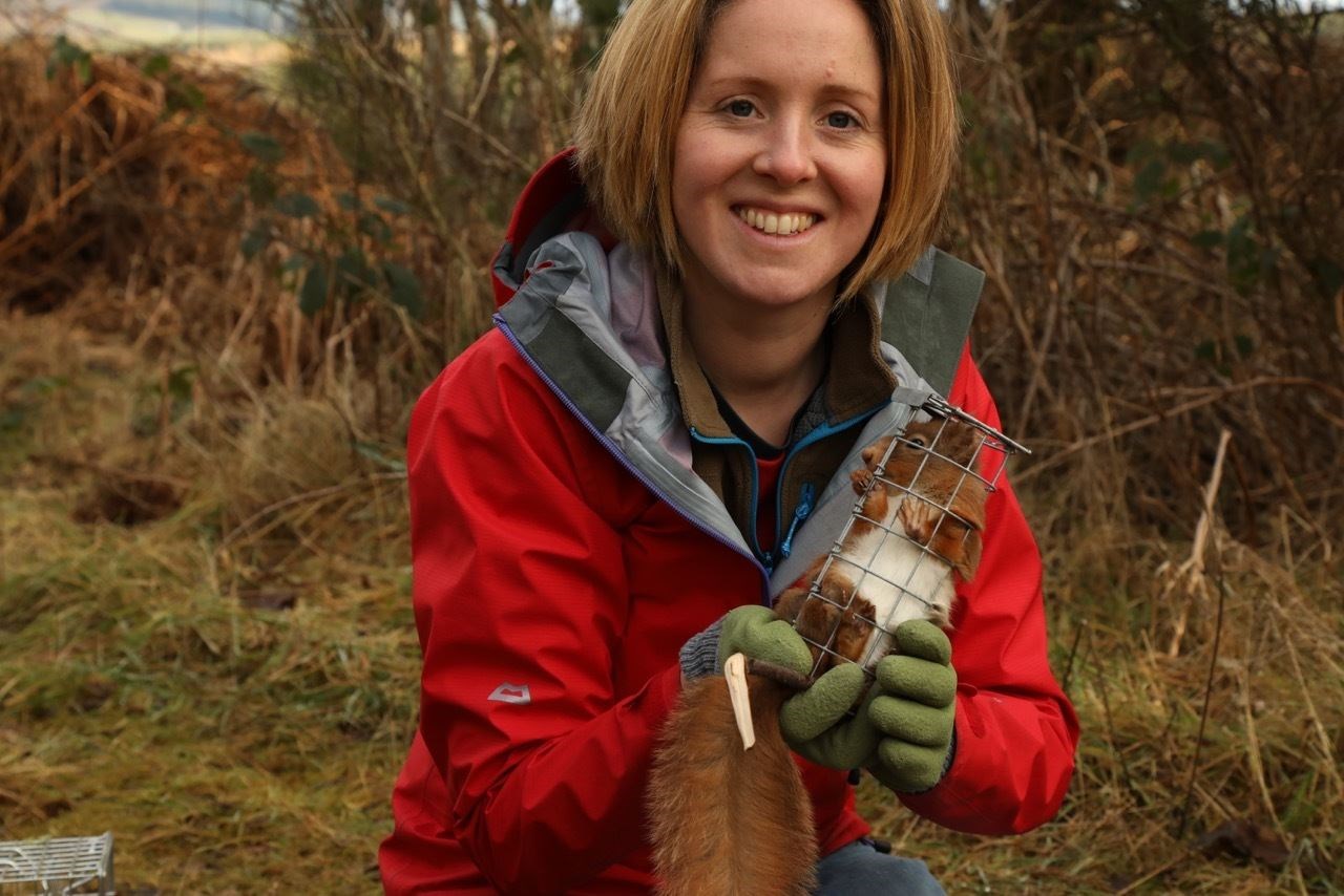 Becky Priestly with a red squirrel ready for health check and measurements.
