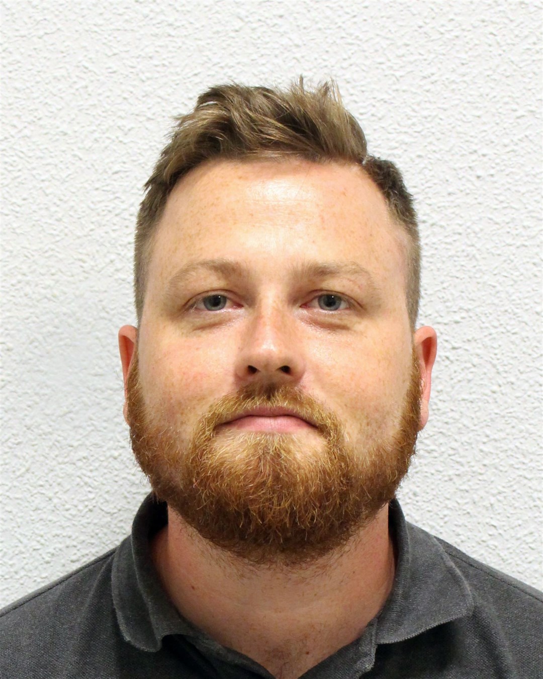 Louis Ahearne was previously jailed by a court in Geneva for stealing Ming Dynasty artefacts (Met Police/PA)