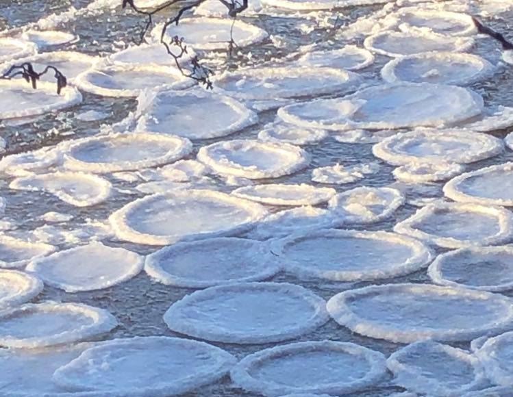 Fiona Love's ice pancakes in the Spey