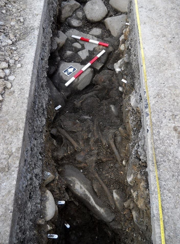 The walls of the former Carmelite Friary, and a possible bone ossuary discovered within, revealed by the Scottish Water trench excavated in Mill Road, Kingussie, late last year·