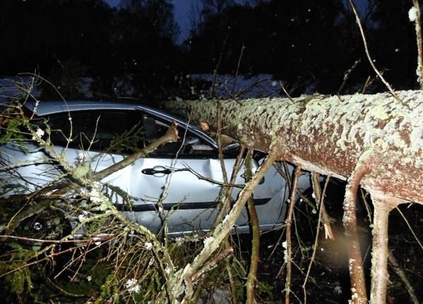 A car in Newtonmore damaged in the storm. Police said it was lucky no-one was badly injured or worse