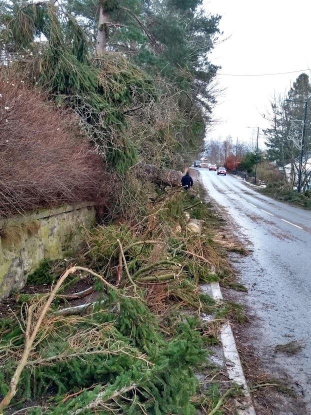 Some of the debris at the side of the A86 in Newtonmore.