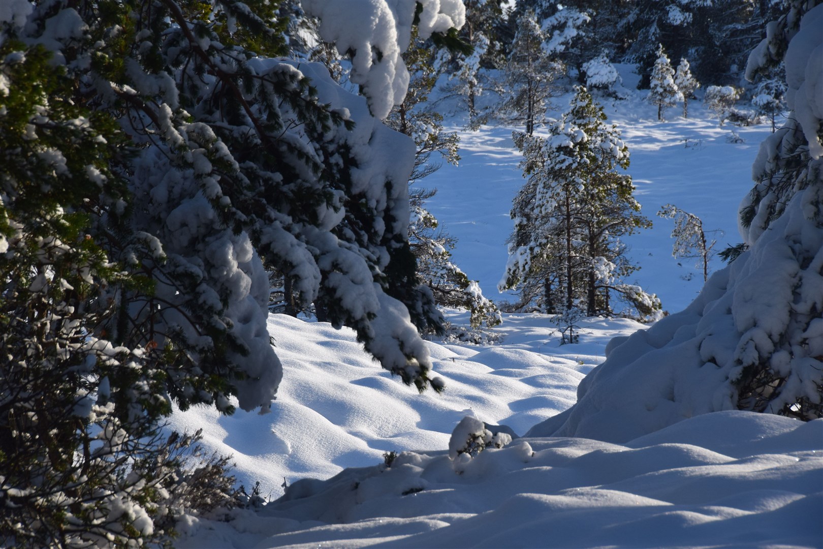 Snow scenes on the hills above Inverness on Sunday. Picture: Philip Murray.