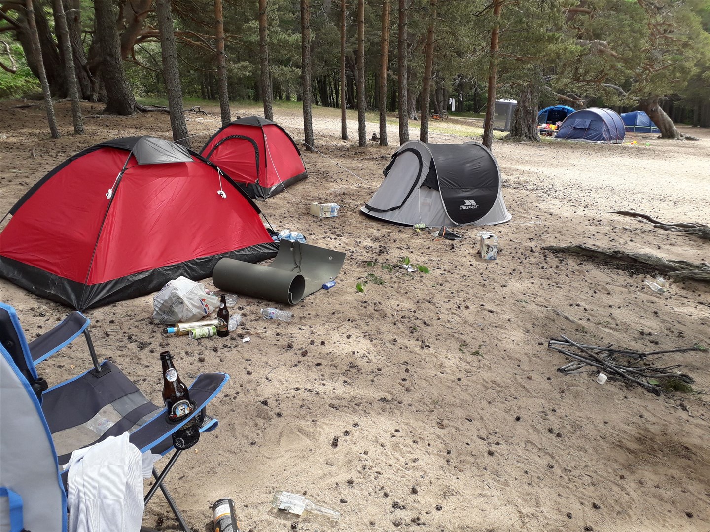 Some of the mess at Loch Morlich. Picture: Paul Hibberd, FLS.