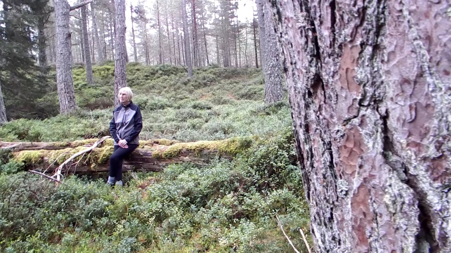 Lin Anderson in the woodlands surrounding her hom village of Carrbridge which has been used as the inspiration for the setting of her new novel.