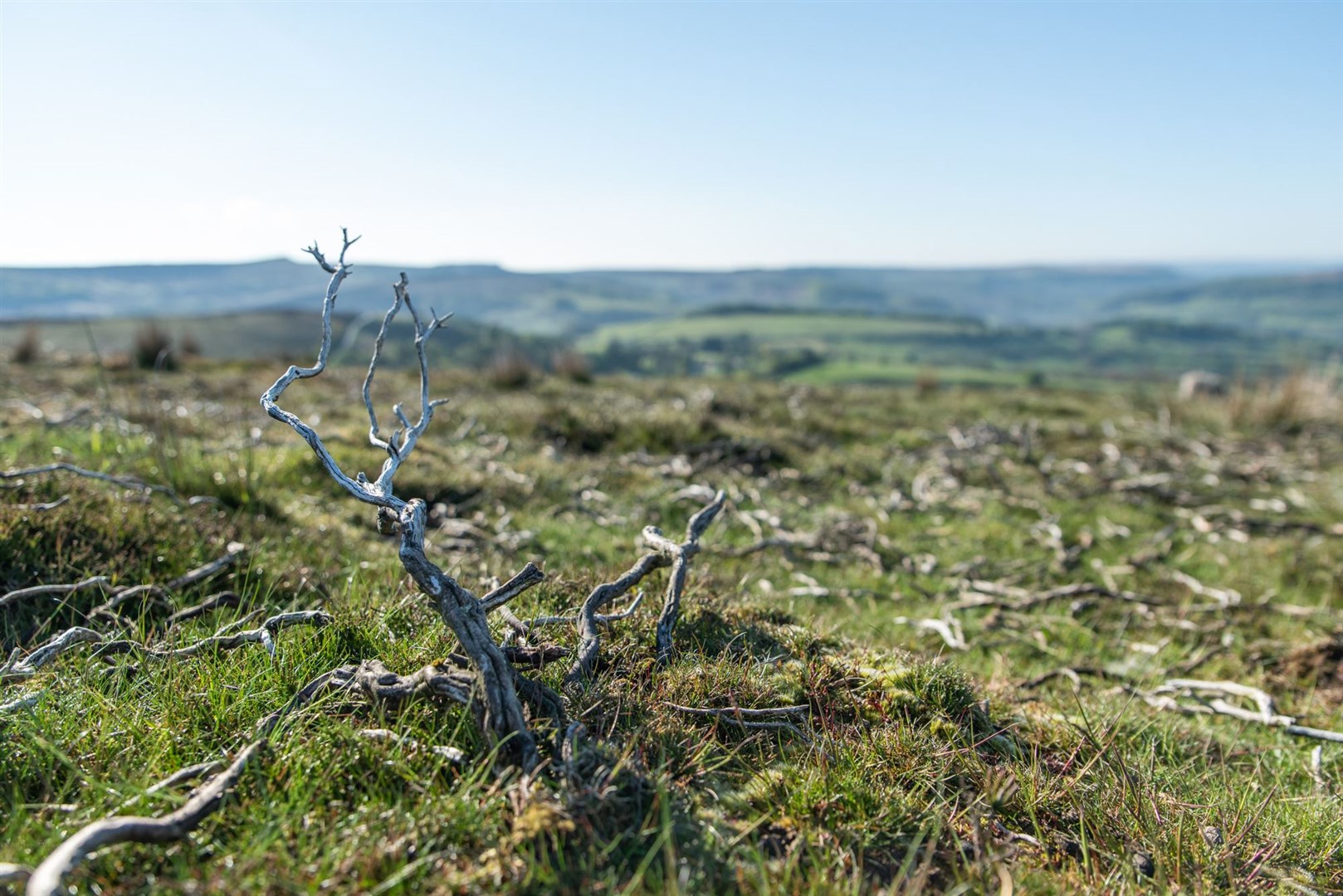 A grouse moor ready for the Glorious Twelfth (Photo: Sam Rose)