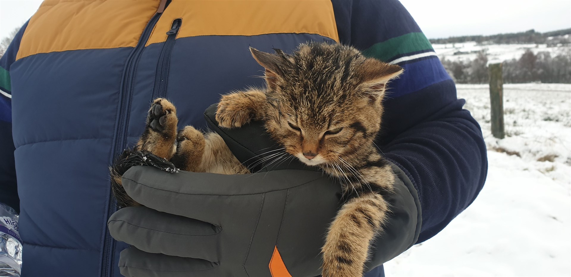 The two men had carried Huntleigh more than three miles to get treatment at the vets in Grantown.