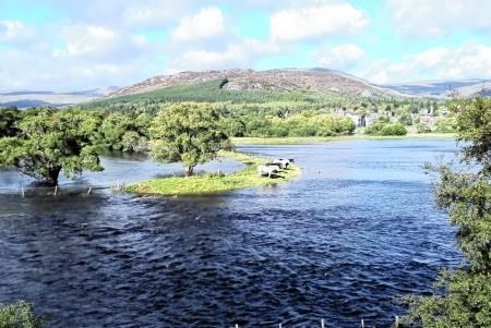 Stranded Horses, Horses, Ruaridh Ormiston, River Spey, Flood Warnings, Flooding, Scottish Environment Protection Agency, SEPA