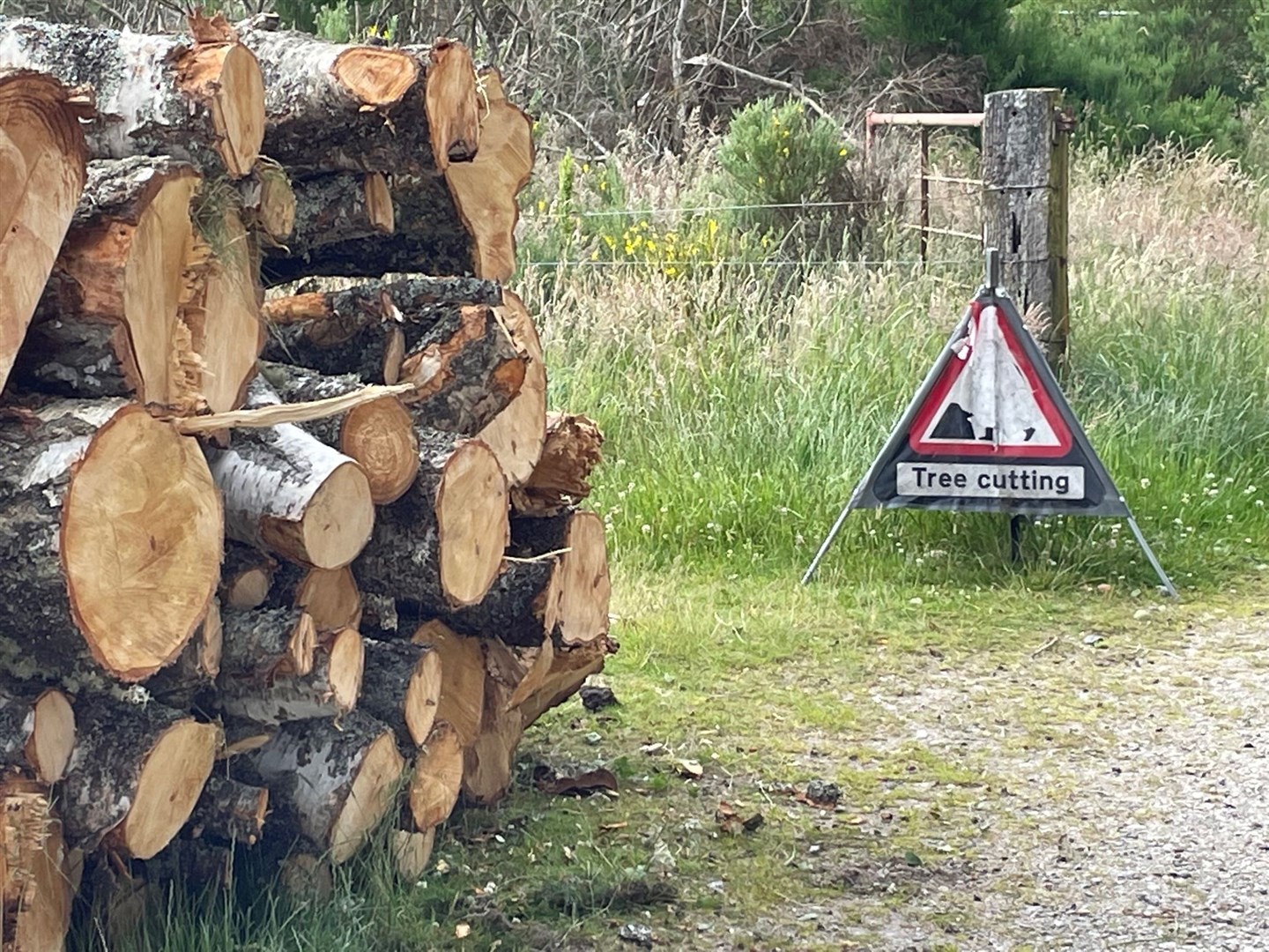 Operations have started to clear trees for the new housing.