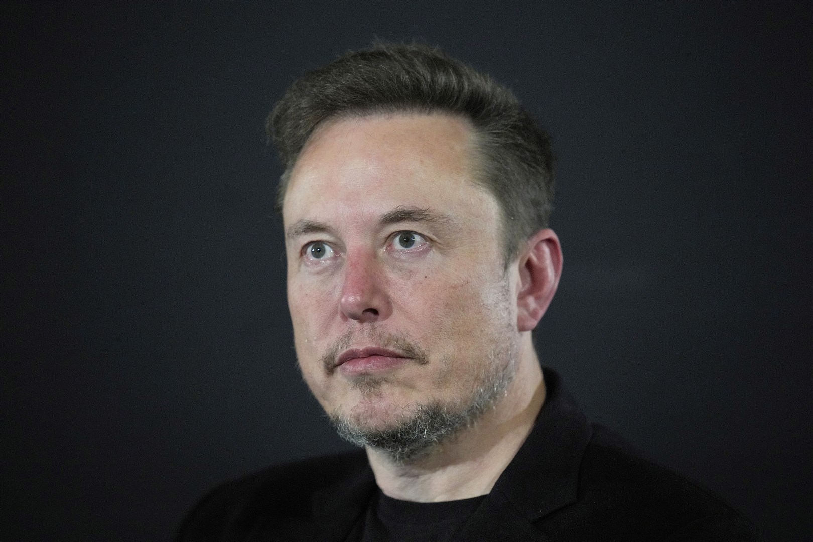 Elon Musk is heading up the Department of Government Efficiency designed to rapidly cut government spending (Kirsty Wigglesworth/PA)