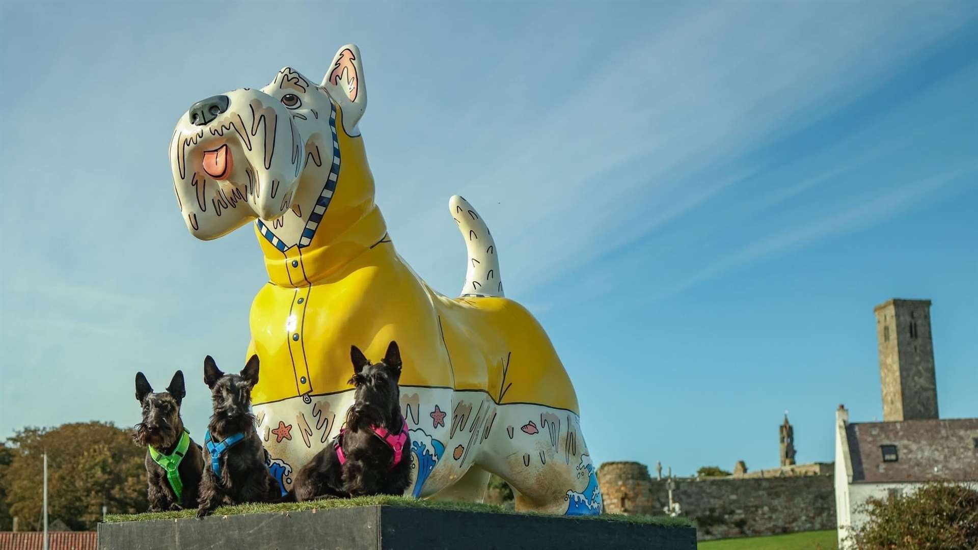 Roma's beautiful work with some of the real thing: the Swiss Agilityscotties Finnlay, Riley and Islay.