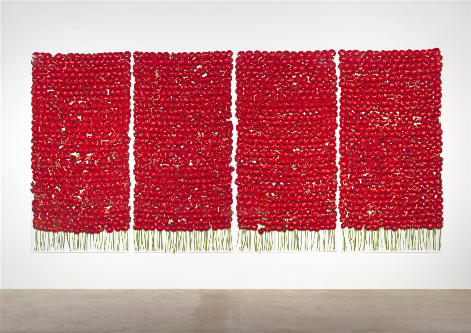 Anya Gallaccio’s Preserve beauty (Anya Gallaccio/Tate/Lehmann Maupin Gallery)
