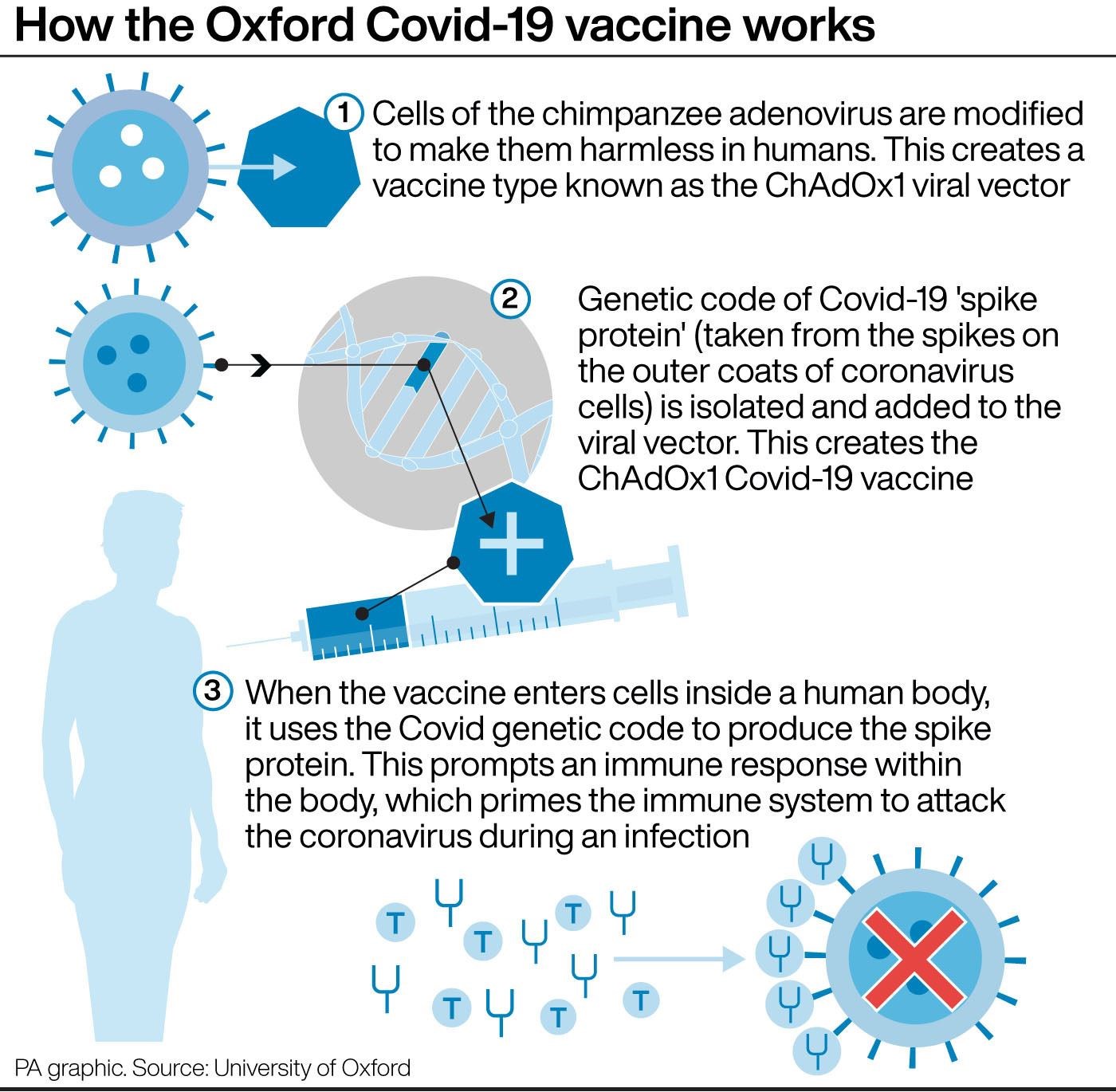 How the Oxford Covid-19 vaccine works (PA Graphics/PA)