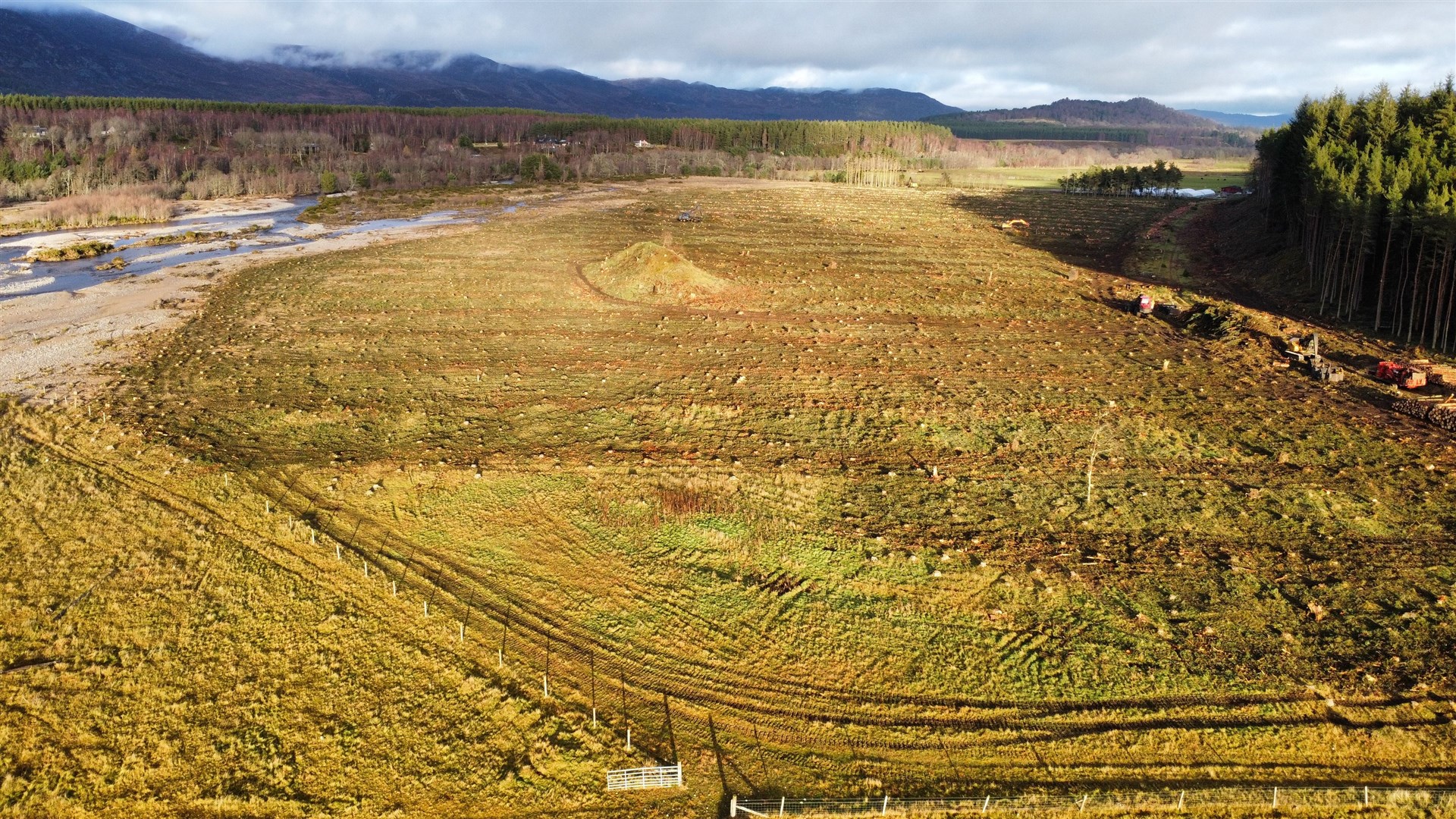 Trees have been felled by the Feshie and also revealed the source of a local legend. Picture: Cairngorms Connect.