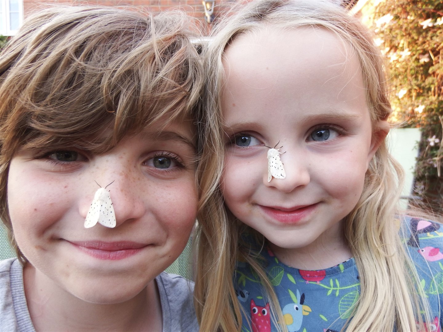 Children with moths on their noses after investigating a moth trap. Picture: Ben Hurst (rspb-images.com)