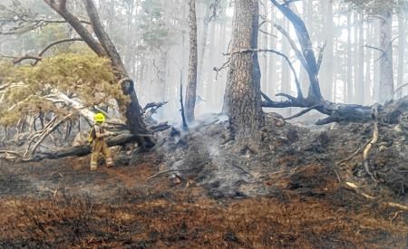 Wildfire, Upper Rothiemurchus Wildfire, Rothiemurchus