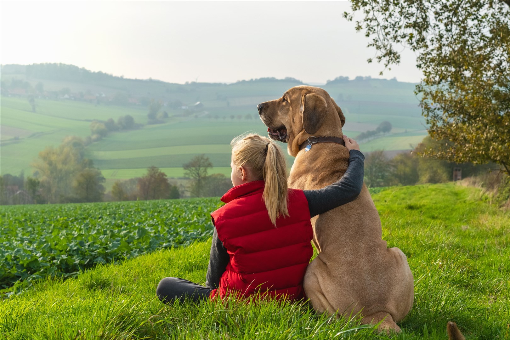 What would we do without our trusty companions? Picture: Adobe
