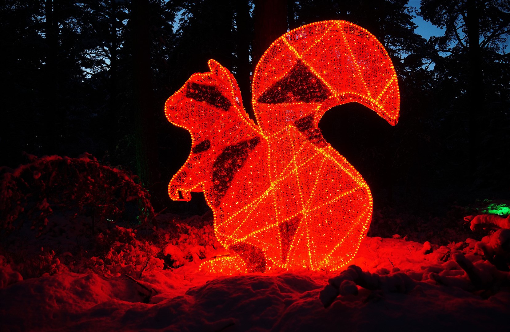 The Ancient Forest Twi-LIGHTS experience at Landmark Forest Adventure Park in Carrbridge. Picture: Federica Stefani. Picture: Federica Stefani.