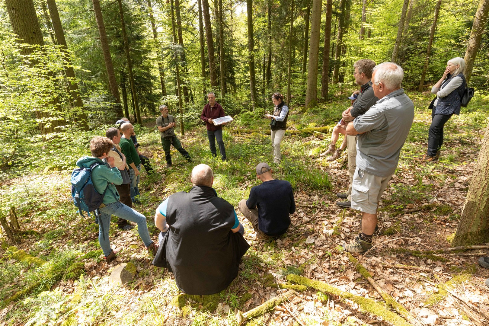 Pascal Junod, chief of the Forest Department at Boudry, was evangelical about the role of lynx within complex, healthy forests. Swiss foresters played a central role in the initial reintroduction of lynx in the 1970s.