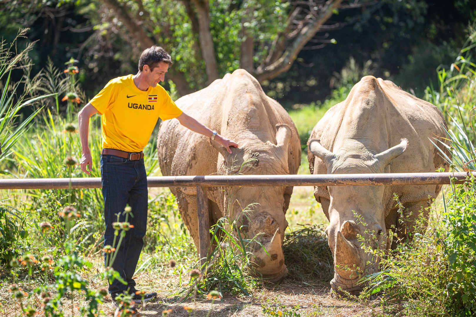 Rob Walker stroking a Rhino at the UWEC Zoo in Uganda (Ugandan Tourism Board)