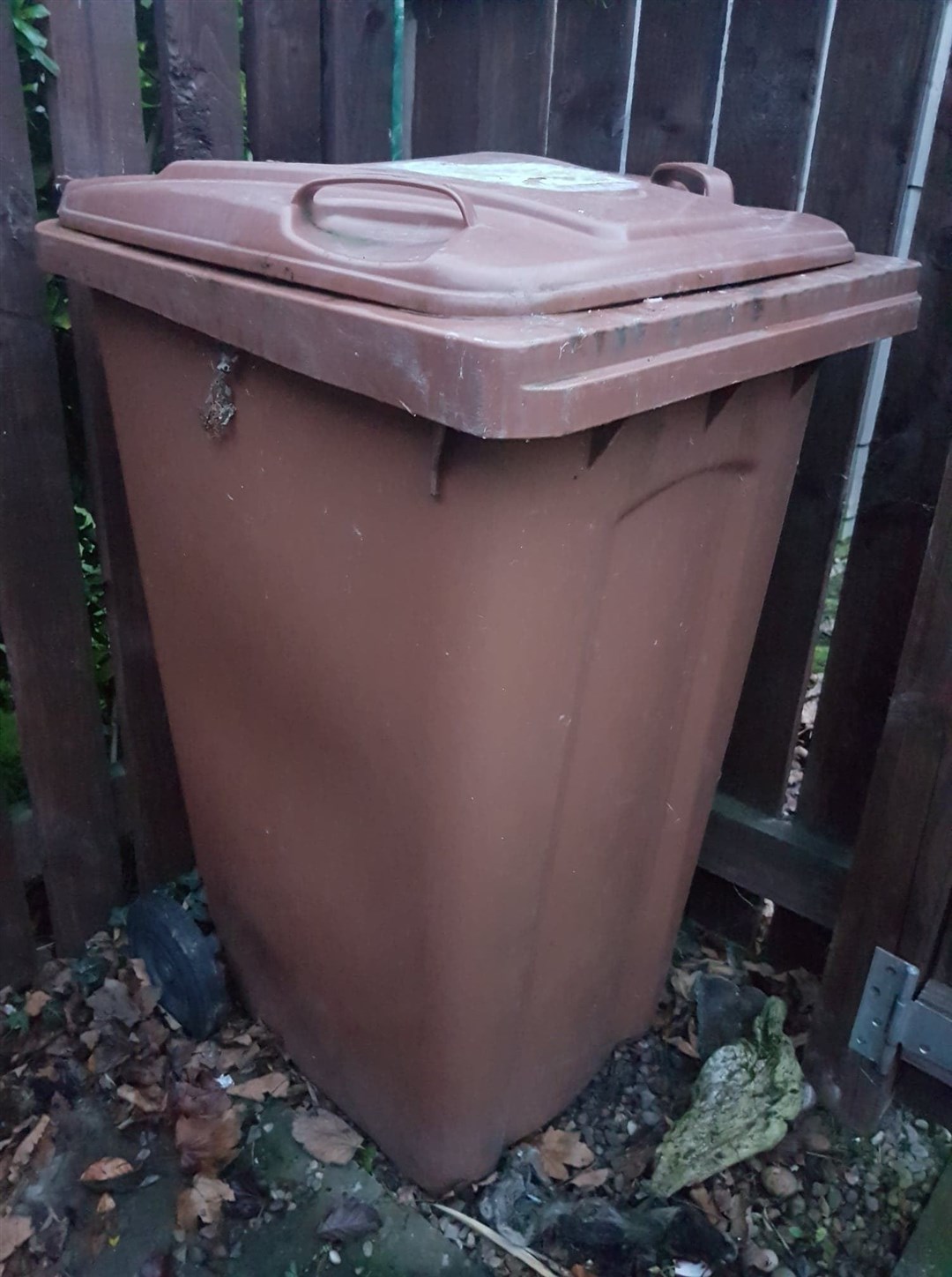 Brown bin permits are available once more