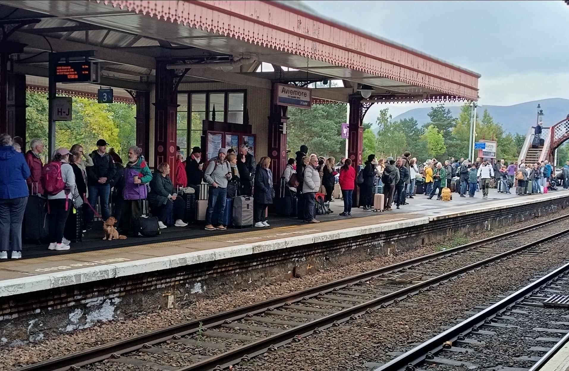 Crowds are lining the platform at Aviemore after the 'incident'.